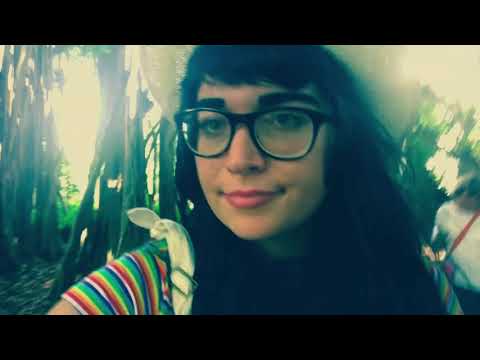 Repo The Genetic Opera Review