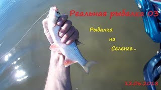 Ссылка