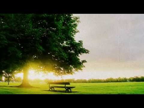 SON OF KICK | Reloaded | Feat. Jenna G