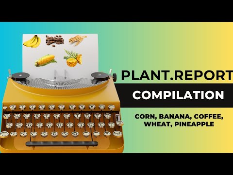 Exploring Agricultural Wonders: A Compilation of Corn, Wheat, Banana, Pineapple, and Coffee Reports