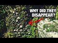 I Found A Forgotten Village Using Satellite Imagery Then Explored It
