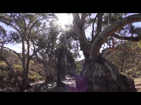 THE BENDLEBY RANGES ATTRACTIONS AND ACCOMMODATION short film