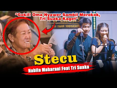 Stecu (Live Ngamen) Nabila Maharani feat Tri Suaka