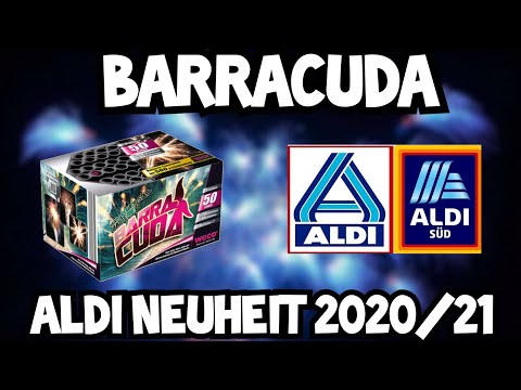 Barracuda | Aldi Neuheit 2020/21 | 50 Schuss | von Weco | aus Aldi | im Test?! | Painted Sky? | ❄️🚀