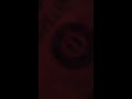 Roxy Reynolds Hi10 Cabaret Pt2