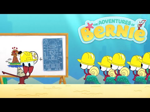 NEW The Adventures of Bernie 🔨 THE TINY BUILDERS 🚧 Zig & Sharko - Cartoons for Kids