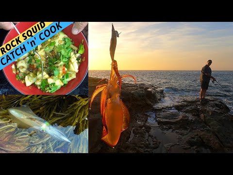 CATCHING SQUID FROM THE ROCKS — Plus A Simple, Delicious Squid Stir-Fry Recipe!