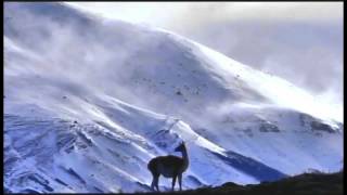 Goo Goo Dolls Before its too Late