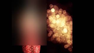 Fallout 4: All Magnolia Songs (live and radio versions)