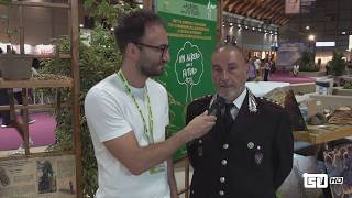 Il Corpo dei Carabinieri Forestali al Meeting