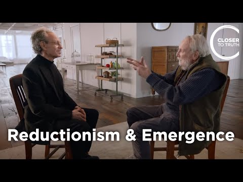 Michael Ruse - Philosophy of Reductionism & Emergence