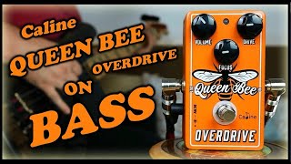 Video thumbnail for Caline CP-503 Queen Bee Overdrive (Bass Demo) by Jo Bass