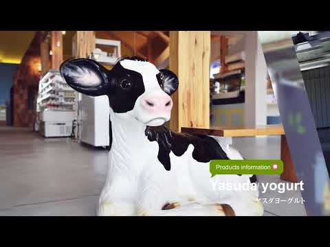 Port of Niigata excursion No.3