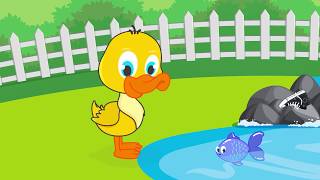 Al Agua Patos - Canción Infantil - Chivaditos