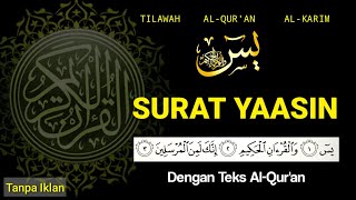 Download lagu Surat Yasin Tanpa Iklan Merdu Dengan Teks (Full) mp3 Download lagu Surat Yasin Tanpa Iklan Merdu Dengan Teks (Full) mp3