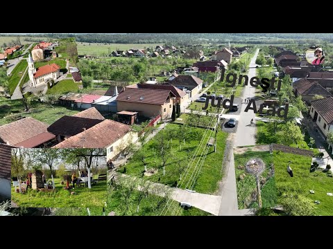 Igneşti, Arad county - live in the countryside