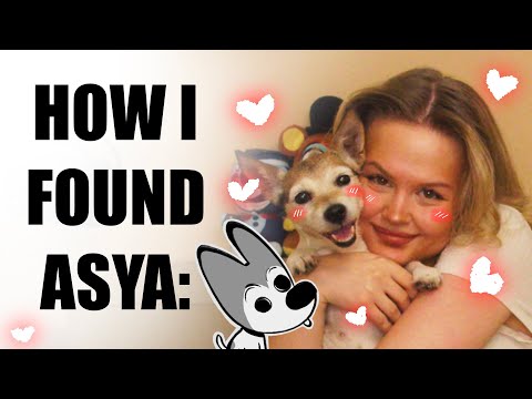 How i found ASYA / Storytime