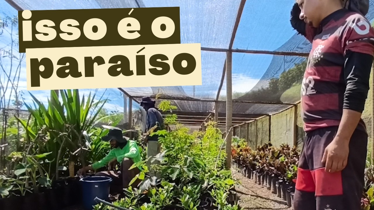 DIA DE MUDA E PLANTIO DE ÁRVORES NATIVAS - CHÁCARA DO CASTOR