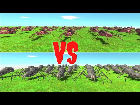 35 Spiders VS 50 Ants - Animal Revolt Battle Simulator