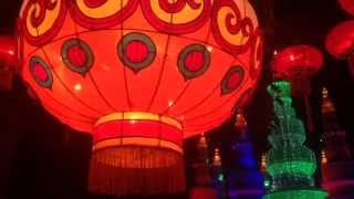 preview picture of video 'Zoominations Chinese Lantern Festival Review at Tampa Lowry Park Zoo 2015 Day and Night Shots'
