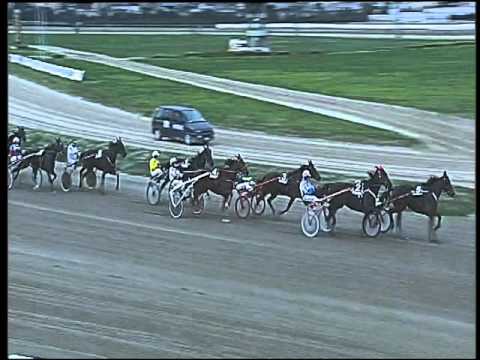 Trotto 13/12/2015 - 6° corsa Gp.ROYAL MARES