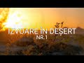IZVOARE IN DESERT NR 1 Misiune Media