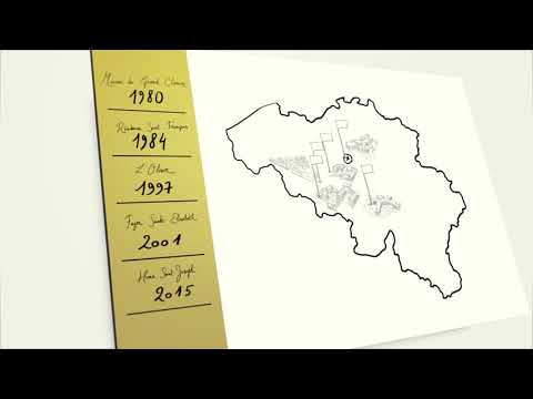 Rétrospective des 40 ans d'expérience de MMI asbl