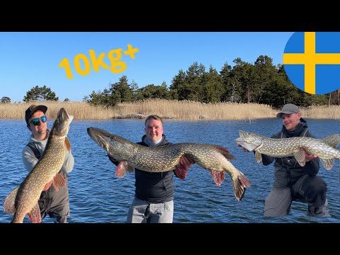 Hechtangeln in Schweden- 1. Trip mit neuem Boot