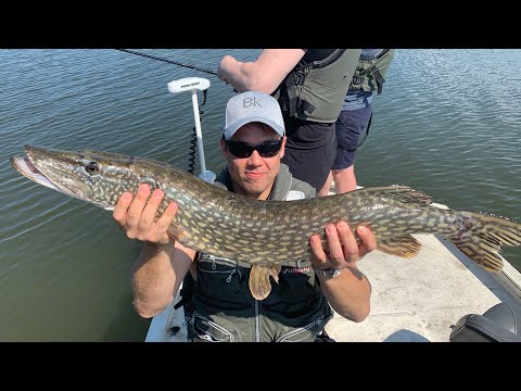 Hellehaukea Spintubella - Hauenkalastus - Kesähauki - Eumer Fishing - Hauki - Kalastus - Fast Sink