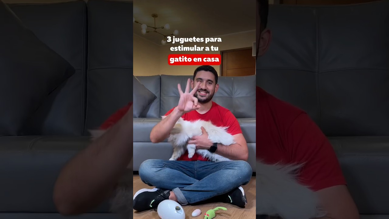 3 Juguetes para estimular a tu gatito