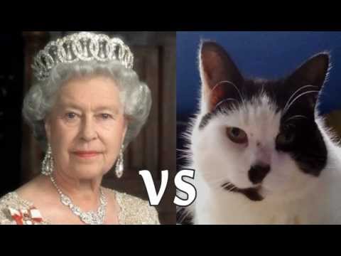 Queen Elizabeth vs Hitler Cat