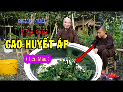 Cấp cứu Cao huyết áp