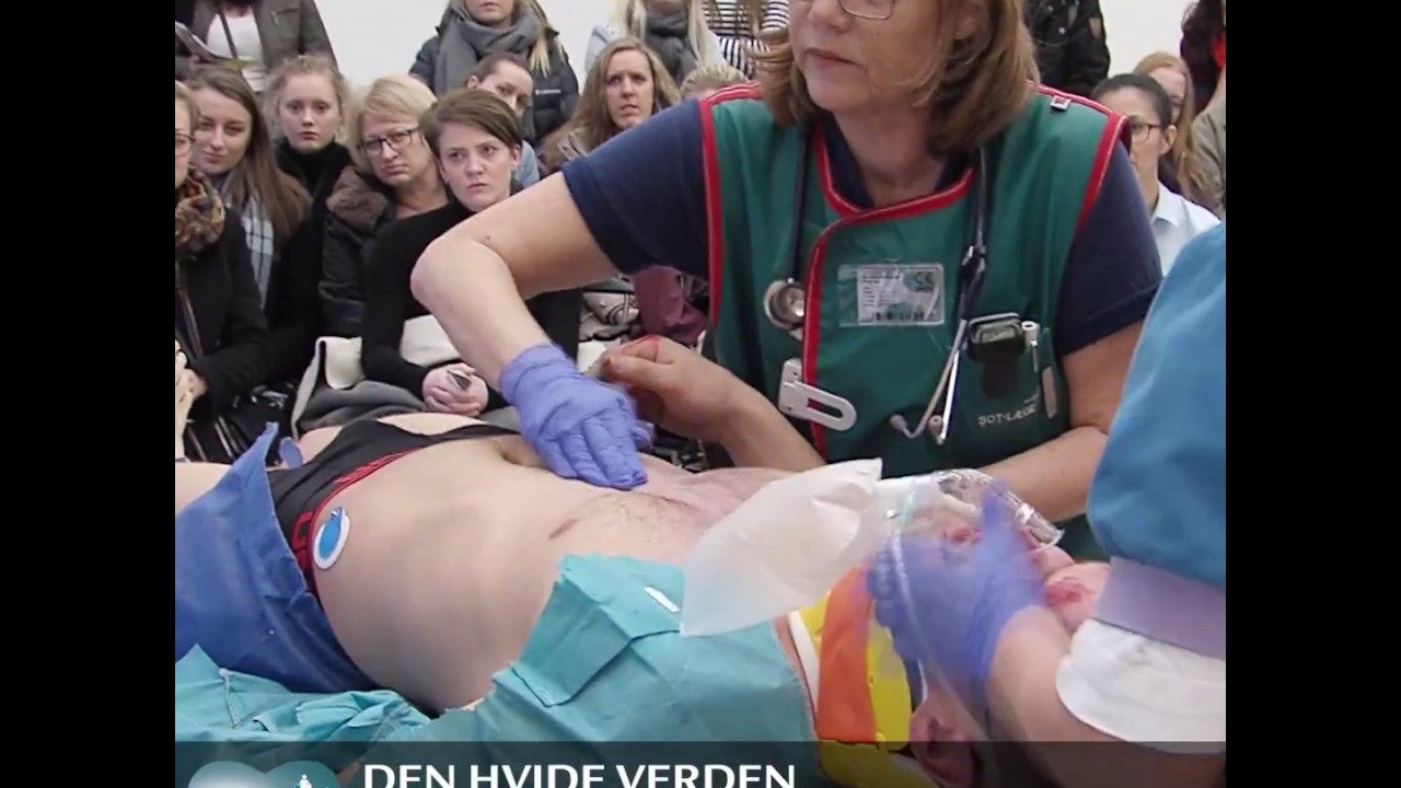 Kom til Den Hvide Verden 2017