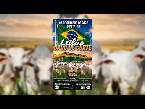LEILÃO GADO DE CORTE ESTRELA DO AGRO LEILÕES  FAINA-GO 07/10/2026 | Leilão ao Vivo - Leilão de Gado