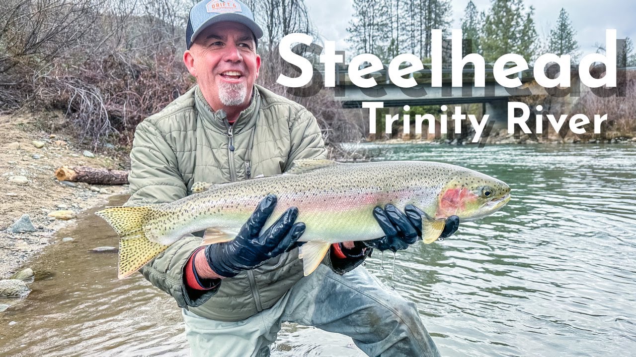 4 Days of Winter Steelhead || Trinity River || Confluence Outfitters