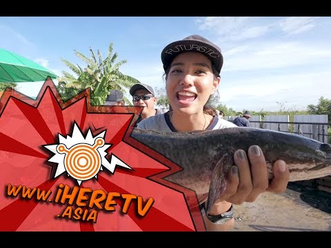 ที่เที่ยวภาคตะวันออก