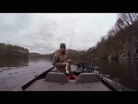 GoPro: Shannon Wheeler - Best Catch 6.22.15 - Fish
