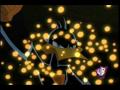 Danger Duck S Lullaby