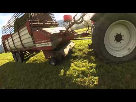 Heuen in Satteins 2013