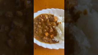 【アーデン】野菜が主役のカレー【中辛】を啜る 🍚🍖 #レトルト食品#Japanesefood#静岡グルメ#カレー