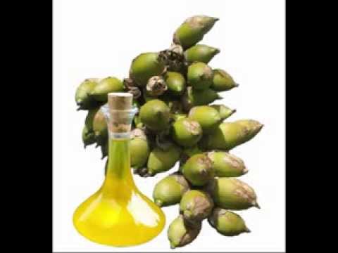 Babassu Oil Benefits