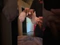 If you have never witnessed "Ferret Dead Sleep" Watch this!