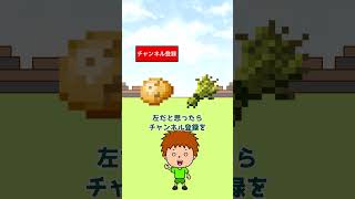 右左どっち？マイクラクイズ！ #shorts