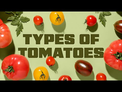Cooking with Tomatoes: A Guide to Different Types