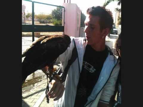 PesteMc - Livro sem capa