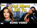Hai Mera Dil Song Video Albela Aishwarya Rai Govinda Jatin Lalit Alka Yagnik Kumar Sanu
