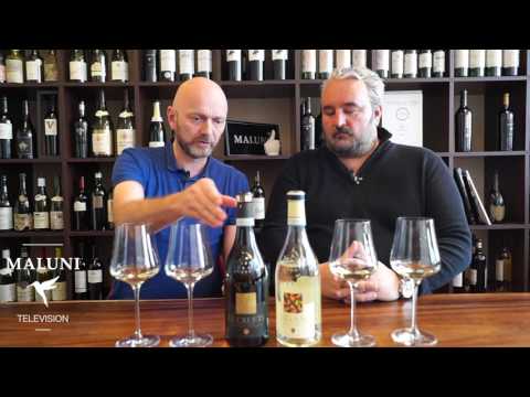 🔴 Gigantische Lugana Weine von Ottella - Maluni TV