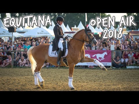 [S-Kür] Dressurhaflinger Amani | Equitana Open Air 2018