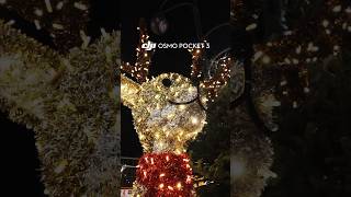 Christmas Market in Germany | Short Vlog shot on DJI Osmo Pocket 3  #berlinvlog #osmopocket