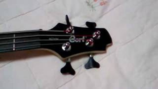 Video thumbnail for Cort Action Bass (Passive) TR color by Kay815